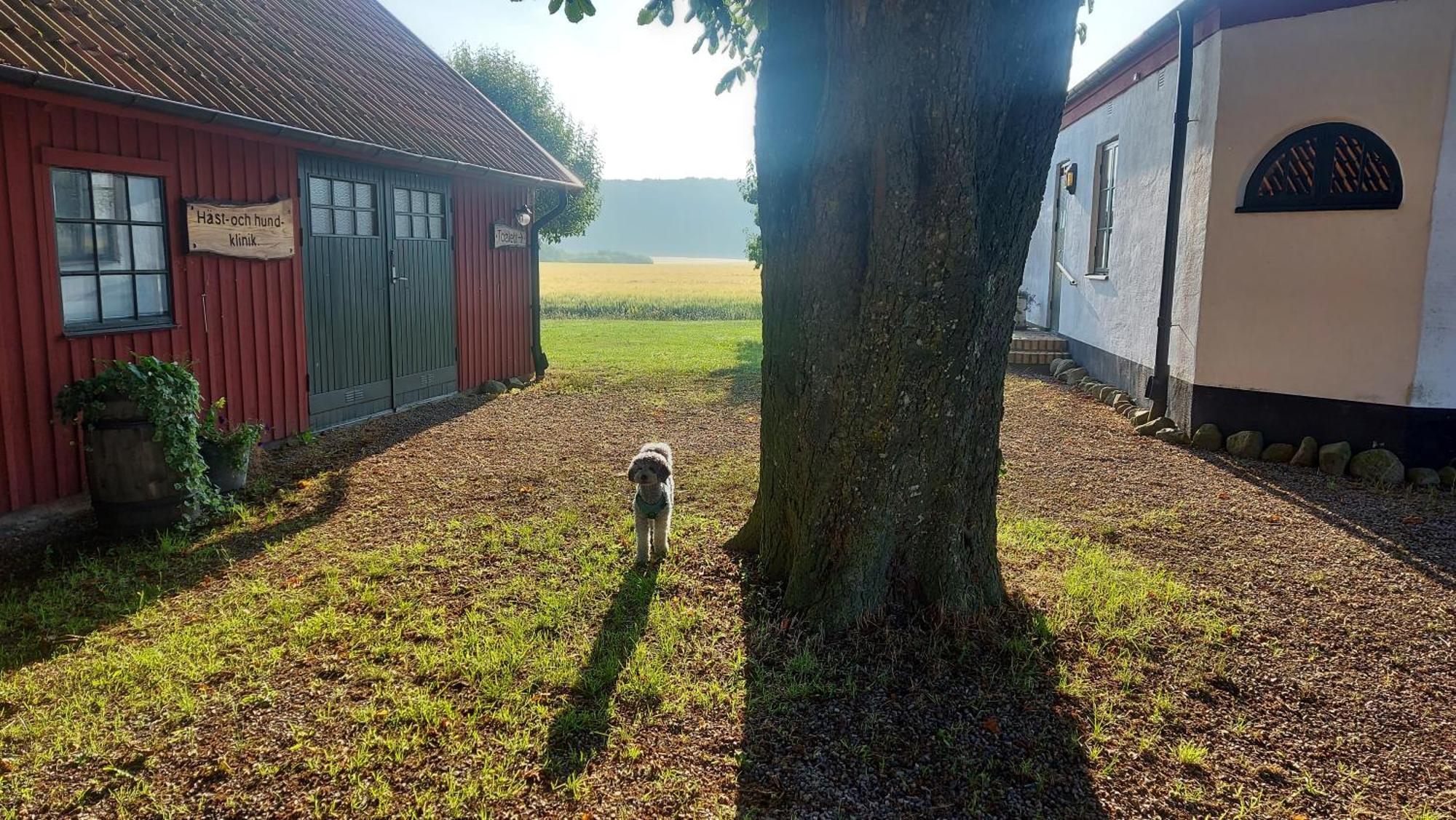 Svedala Lantligt Och Lugnt Boende Naera Natur Och Stad מראה חיצוני תמונה